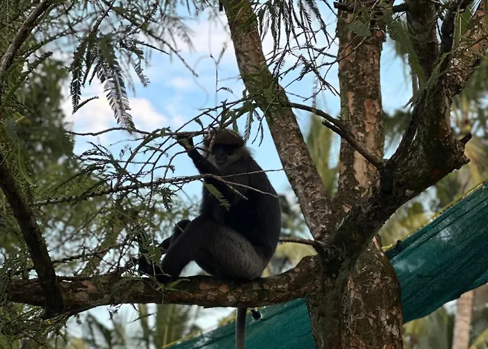 Mango Tree Villa