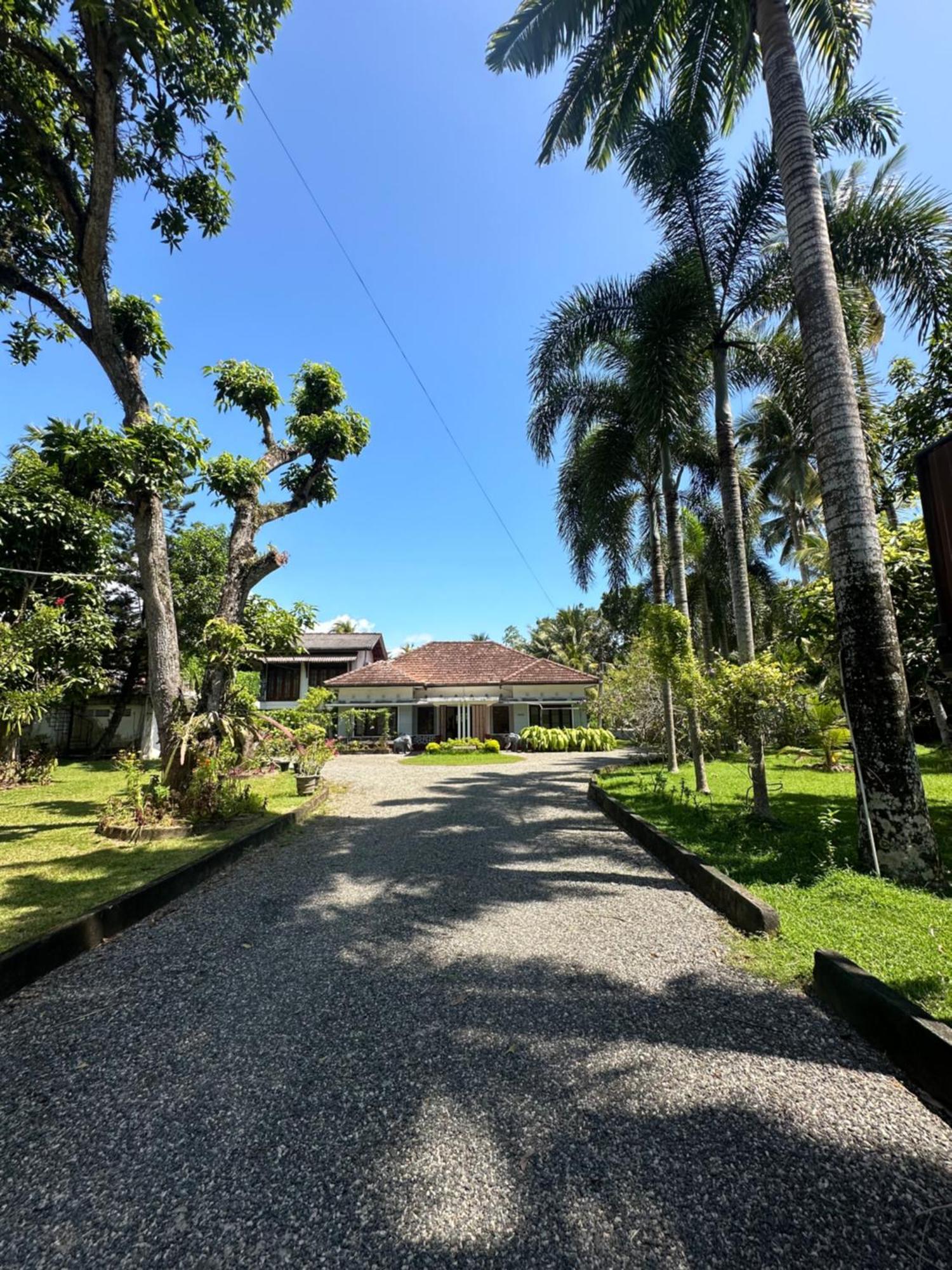 Villa Mango Tree