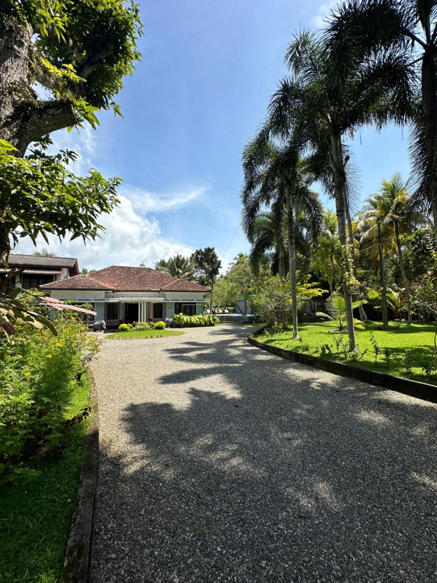 Mango Tree Villa *