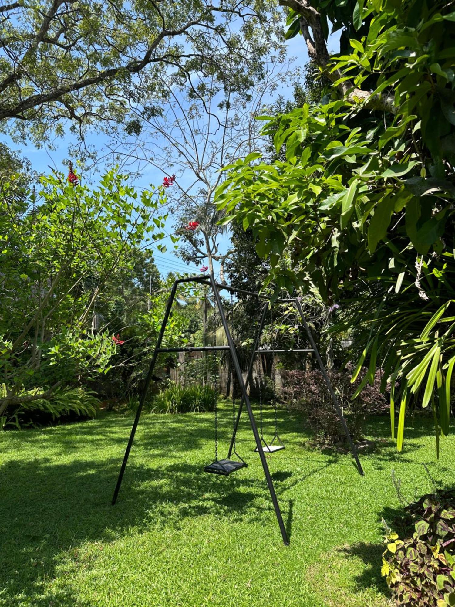 Villa Mango Tree *